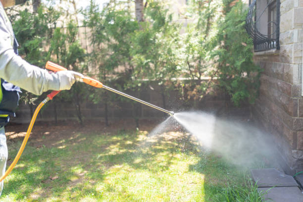 Best Wasp Removal Services  in Burton, OH