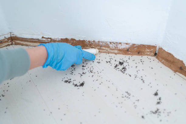 Best Best Pest Control Companies  in Burton, OH